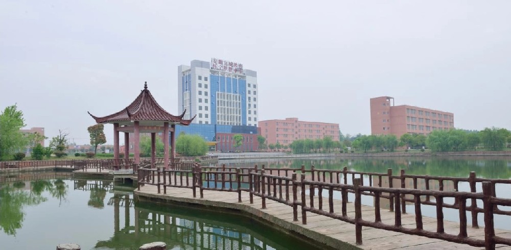 安庆宜城科技学校